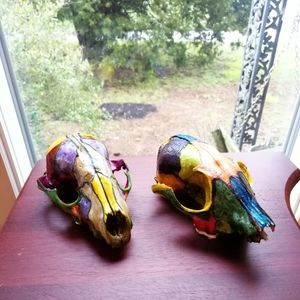 Pair of Painted Possum Sculls